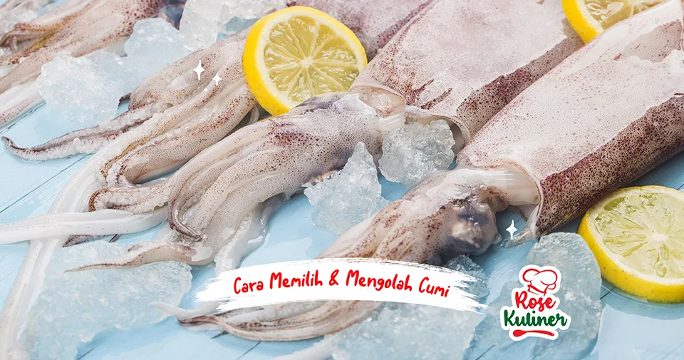 Cara Memilih dan Mengolah Cumi Agar Lebih Lezat & Tidak Alot