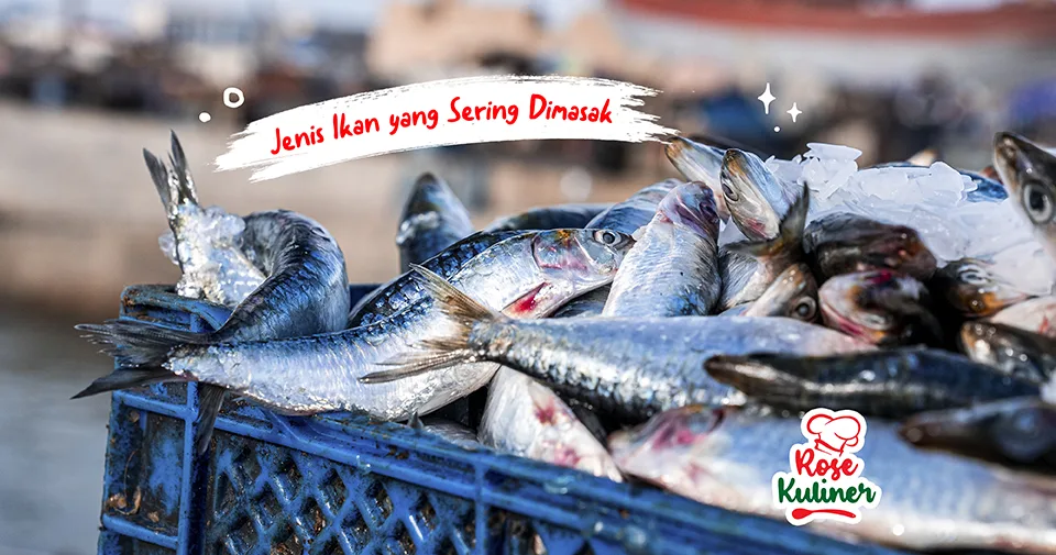 Kamu Harus Tahu, Berikut 9 Jenis Ikan yang Sering Dimasak di Indonesia