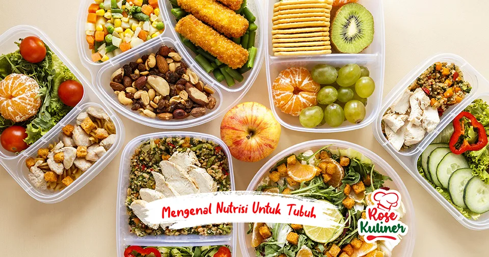Pengertian dan Fungsi Nutrisi untuk Kesehatan Tubuh