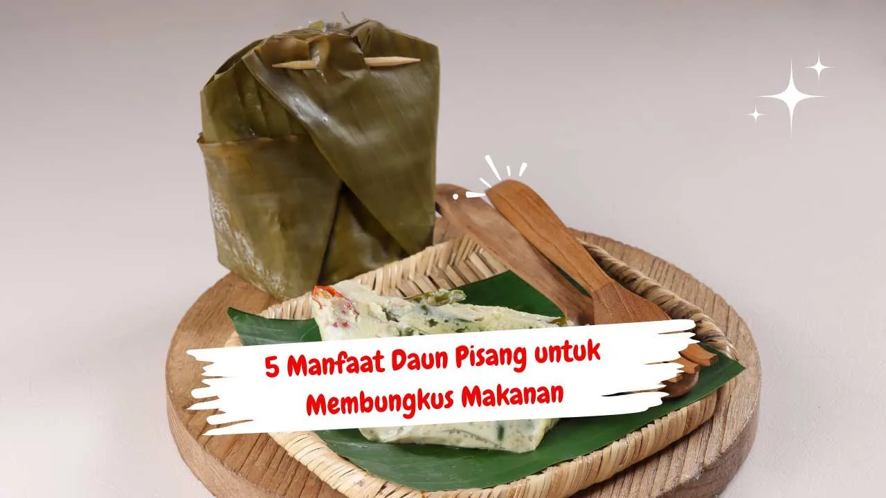 Lebih Wangi dan Sehat, Inilah 5 Manfaat Daun Pisang untuk Membungkus Makanan