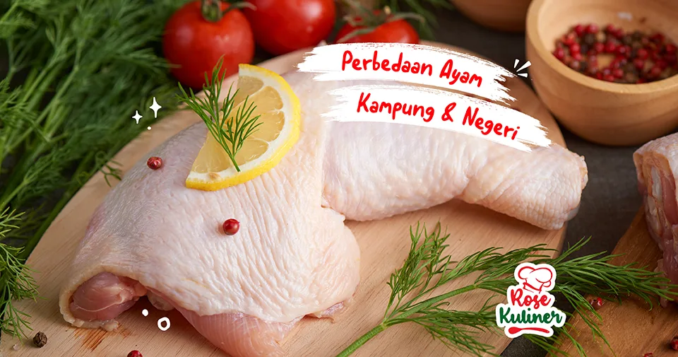 6 Perbedaan Ayam Kampung dan Ayam Negeri yang Perlu Kamu Ketahui